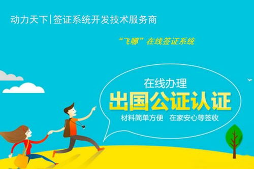 飞哪在线签证系统 赋能旅行社，开启业务流程简化新篇章